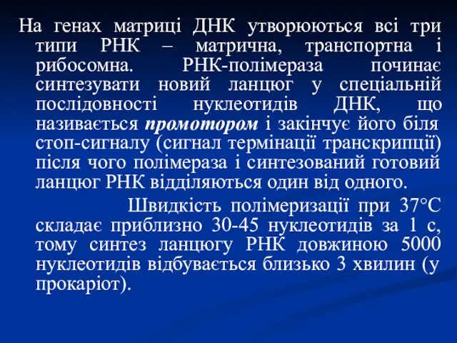 На генах матриці ДНК утворюються всі три типи РНК –