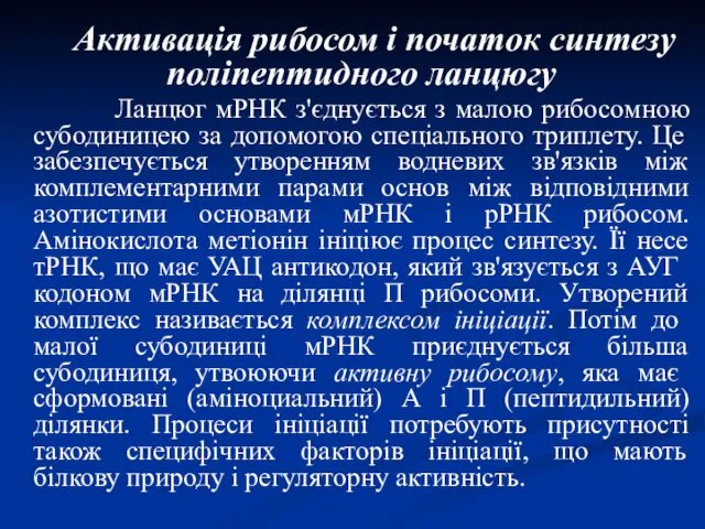 Активація рибосом і початок синтезу поліпептидного ланцюгу Ланцюг мРНК з'єднується