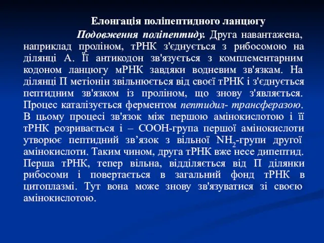 Елонгація поліпептидного ланцюгу Подовження поліпептиду. Друга навантажена, наприклад проліном, тРНК