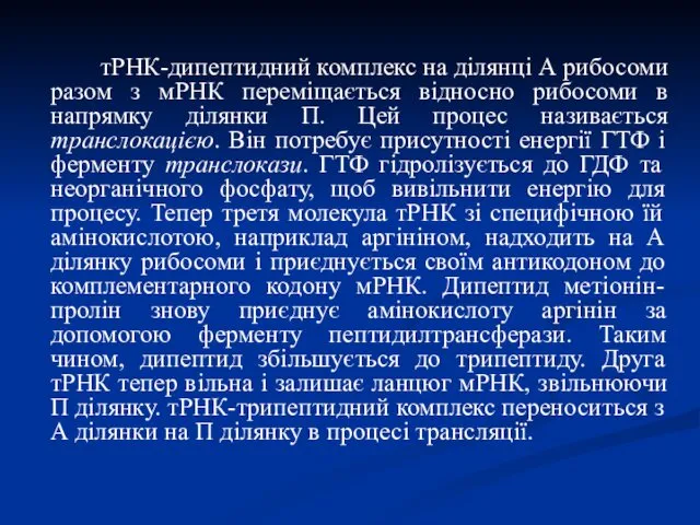 тРНК-дипептидний комплекс на ділянці А рибосоми разом з мРНК переміщається