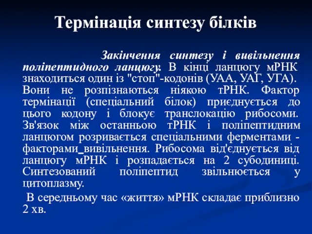 Термінація синтезу білків Закінчення синтезу і вивільнення поліпептидного ланцюгу. В