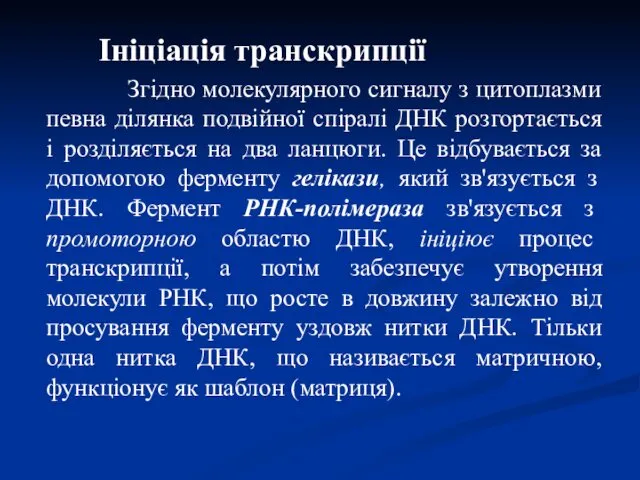 Ініціація транскрипції Згідно молекулярного сигналу з цитоплазми певна ділянка подвійної