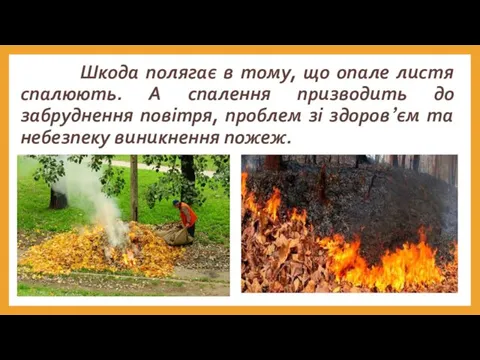 Шкода полягає в тому, що опале листя спалюють. А спалення призводить до забруднення