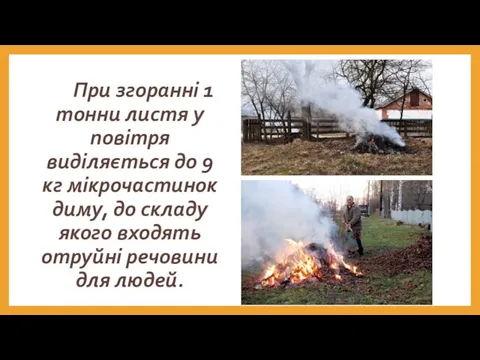 При згоранні 1 тонни листя у повітря виділяється до 9 кг мікрочастинок диму,