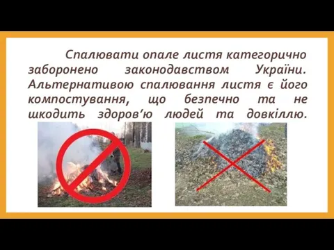 Спалювати опале листя категорично заборонено законодавством України. Альтернативою спалювання листя є його компостування,
