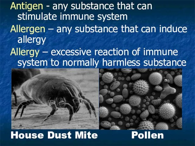 Antigen - any substance that can stimulate immune system Allergen