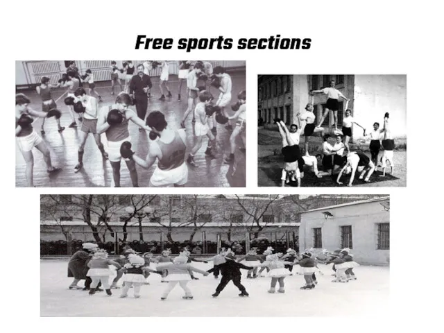 Free sports sections