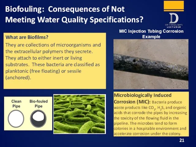 Biofouling: Consequences of Not Meeting Water Quality Specifications? What are Biofilms? They are