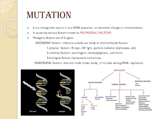 MUTATION It is a change that occurs in our DNA sequence , or