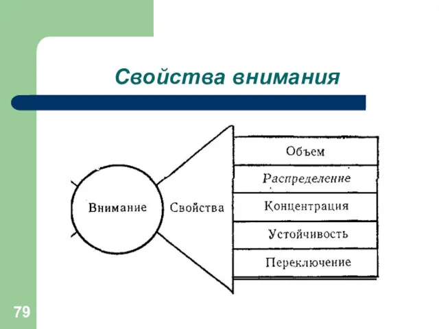 Свойства внимания