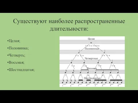 Существуют наиболее распространенные длительности: Целая; Половинка; Четверть; Восьмая; Шестнадцатая;