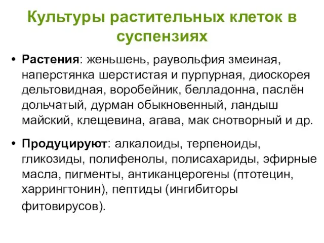 Культуры растительных клеток в суспензиях Растения: женьшень, раувольфия змеиная, наперстянка