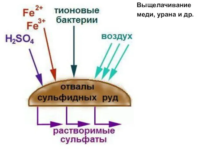 Выщелачивание меди, урана и др.