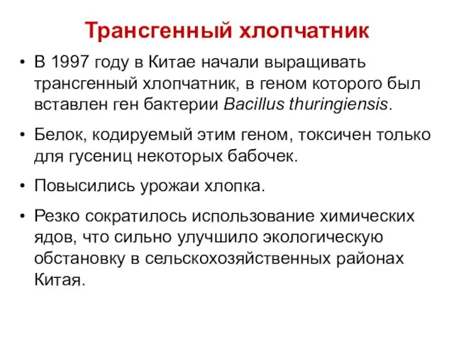 Трансгенный хлопчатник В 1997 году в Китае начали выращивать трансгенный