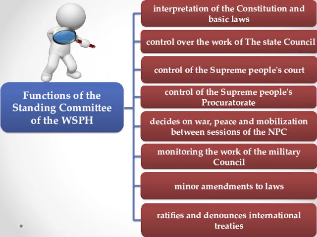 Functions of the Standing Committee of the WSPH control over