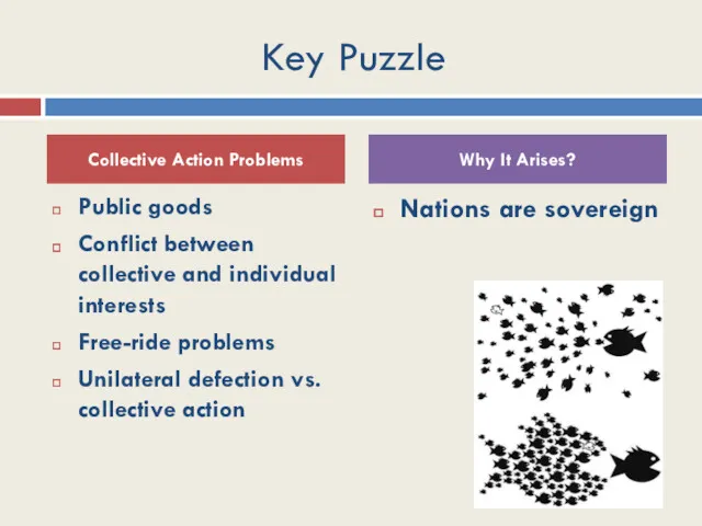 Key Puzzle Public goods Conflict between collective and individual interests