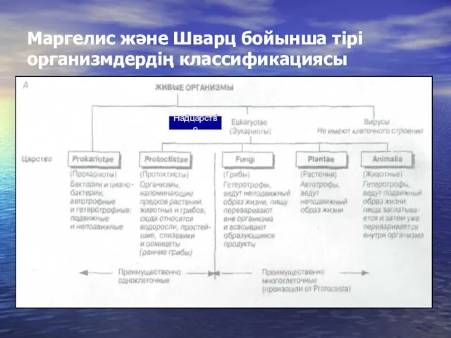 Маргелис және Шварц бойынша тірі организмдердің классификациясы Надцарство