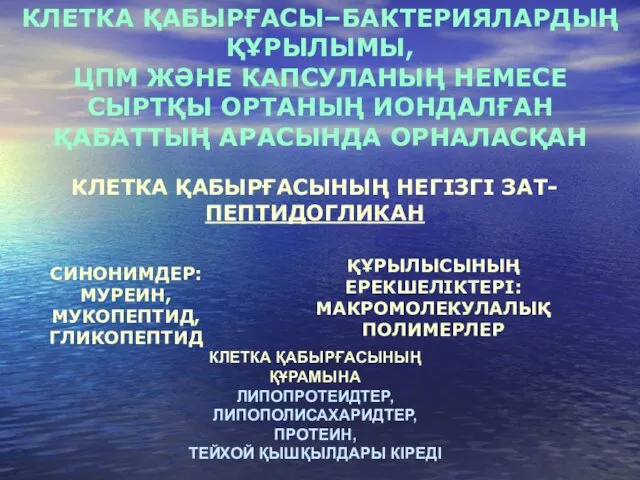 КЛЕТКА ҚАБЫРҒАСЫ–БАКТЕРИЯЛАРДЫҢ ҚҰРЫЛЫМЫ, ЦПМ ЖӘНЕ КАПСУЛАНЫҢ НЕМЕСЕ СЫРТҚЫ ОРТАНЫҢ ИОНДАЛҒАН