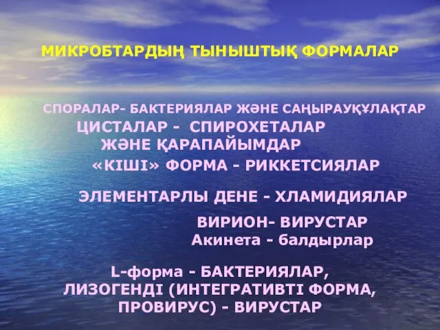 МИКРОБТАРДЫҢ ТЫНЫШТЫҚ ФОРМАЛАР СПОРАЛАР- БАКТЕРИЯЛАР ЖӘНЕ САҢЫРАУҚҰЛАҚТАР ЦИСТАЛАР - СПИРОХЕТАЛАР