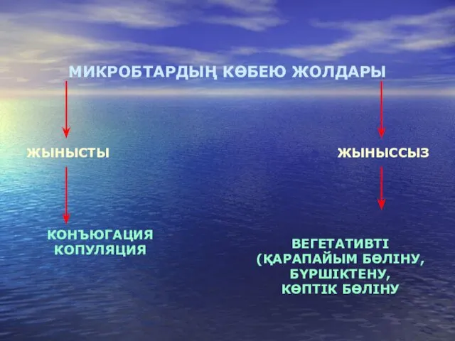 МИКРОБТАРДЫҢ КӨБЕЮ ЖОЛДАРЫ ЖЫНЫСТЫ ЖЫНЫССЫЗ КОНЪЮГАЦИЯ КОПУЛЯЦИЯ ВЕГЕТАТИВТІ (ҚАРАПАЙЫМ БӨЛІНУ, БҮРШІКТЕНУ, КӨПТІК БӨЛІНУ