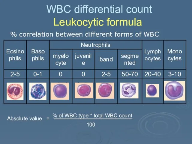 WBC differential count Leukocytic formula % correlation between different forms