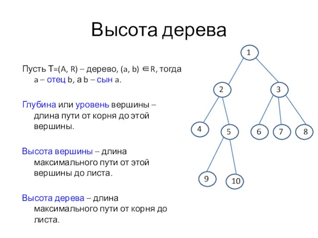 Высота дерева Пусть Т=(A, R) – дерево, (a, b) ∈R,