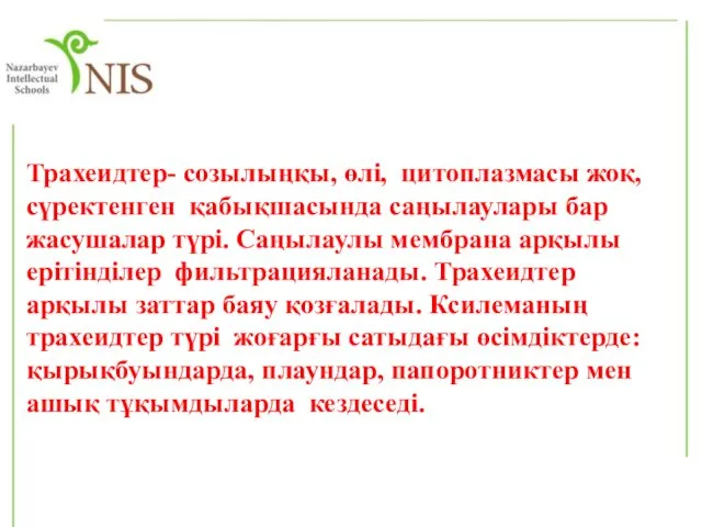 Трахеидтер- созылыңқы, өлі, цитоплазмасы жоқ, сүректенген қабықшасында саңылаулары бар жасушалар