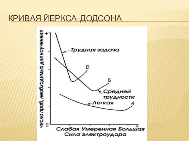 КРИВАЯ ЙЕРКСА-ДОДСОНА