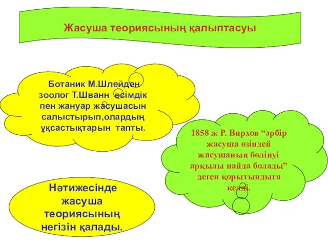 Жасуша теориясының қалыптасуы Ботаник М.Шлейден зоолог Т.Шванн өсімдік пен жануар