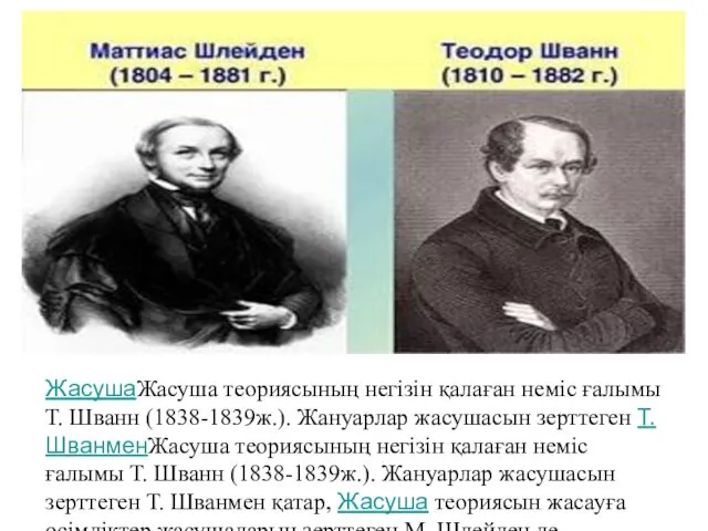 ЖасушаЖасуша теориясының негізін қалаған неміс ғалымы Т. Шванн (1838-1839ж.). Жануарлар