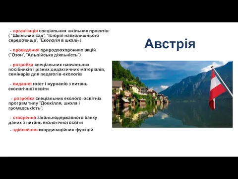 - організація спеціальних шкільних проектів: ( "Шкільний сад", "Історія навколишнього