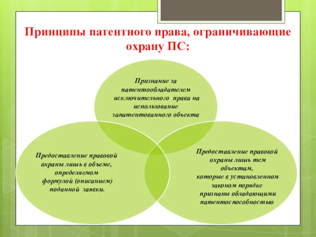 Принципы патентного права, ограничивающие охрану ПС: