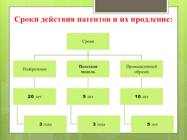 Сроки действия патентов и их продление: