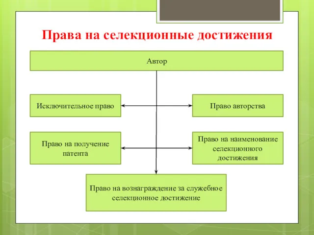 Права на селекционные достижения Автор Исключительное право Право авторства Право