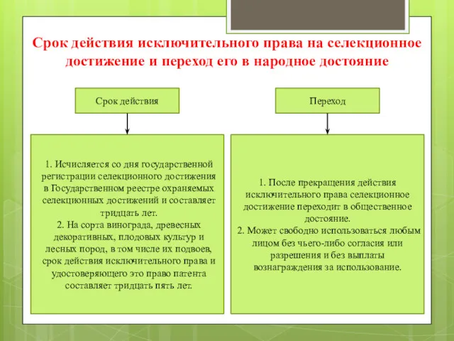 Срок действия исключительного права на селекционное достижение и переход его