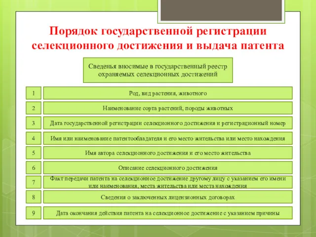 Порядок государственной регистрации селекционного достижения и выдача патента Сведенья вносимые