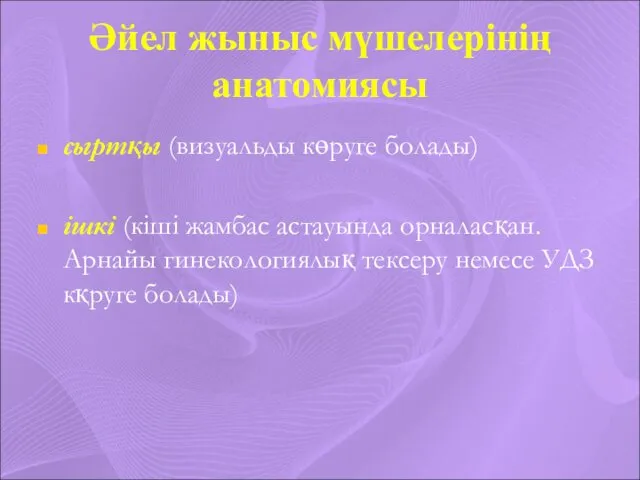 Әйел жыныс мүшелерінің анатомиясы сыртқы (визуальды көруге болады) ішкі (кіші