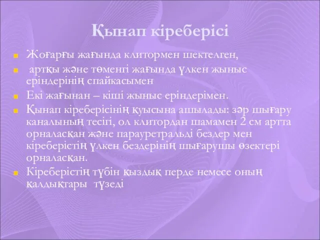 Қынап кіреберісі Жоғарғы жағында клитормен шектелген, артқы және төменгі жағында