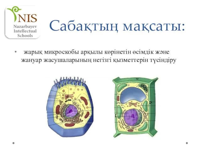 Сабақтың мақсаты: жарық микроскобы арқылы көрінетін өсімдік және жануар жасушаларының негізгі қызметтерін түсіндіру