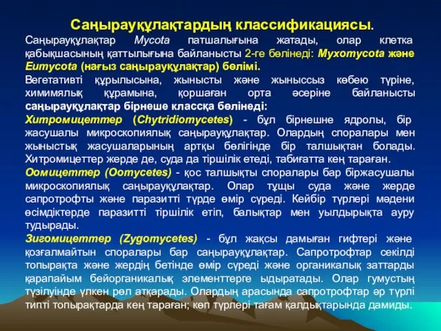 Саңырауқұлақтардың классификациясы. Саңырауқұлақтар Mycota патшалығына жатады, олар клетка қабықшасының қаттылығына байланысты 2-ге бөлінеді: