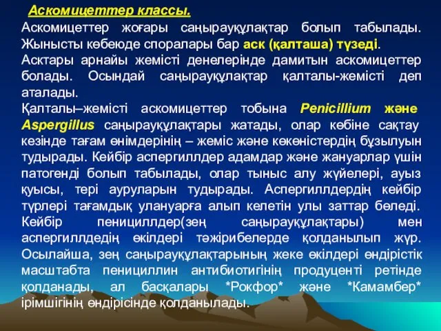 Аскомицеттер классы. Аскомицеттер жоғары саңырауқұлақтар болып табылады. Жынысты көбеюде споралары