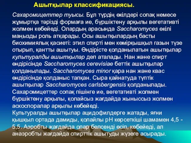 Сахаромицеттер туысы. Бұл түрдің өкілдері сопақ немесе жұмыртқа тәрізді формаға