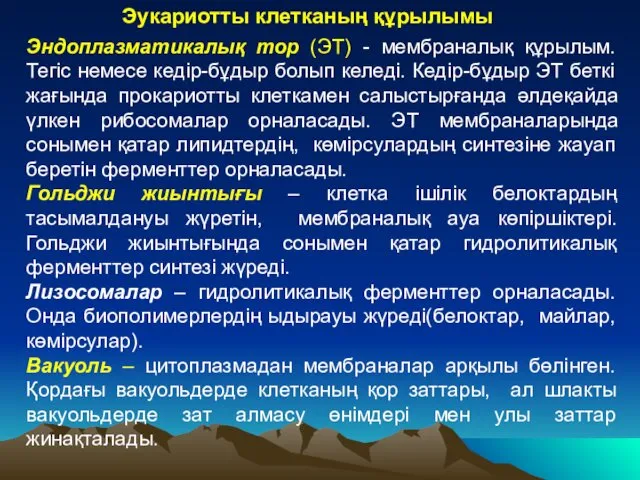 Эндоплазматикалық тор (ЭТ) - мембраналық құрылым. Тегіс немесе кедір-бұдыр болып келеді. Кедір-бұдыр ЭТ