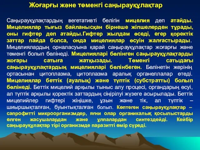 Жоғарғы және төменгі саңырауқұлақтар Саңырауқұлақтардың вегетативті бөлігін мицелия деп атайды.Мицелиялар тығыз байланысқан бірнеше