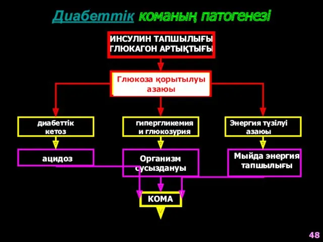 Диабеттік команың патогенезі ИНСУЛИН ТАПШЫЛЫҒЫ ГЛЮКАГОН АРТЫҚТЫҒЫ Глюкоза қорытылуы азаюы