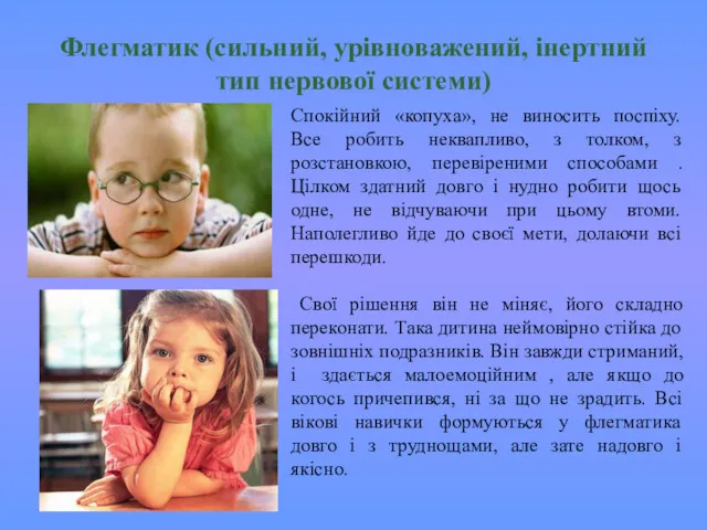 Флегматик (сильний, урівноважений, інертний тип нервової системи) Спокійний «копуха», не