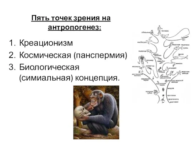 Пять точек зрения на антропогенез: Креационизм Космическая (панспермия) Биологическая (симиальная) концепция.