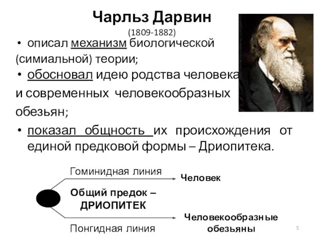 Чарльз Дарвин (1809-1882) описал механизм биологической (симиальной) теории; обосновал идею