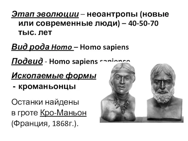 Этап эволюции – неоантропы (новые или современные люди) – 40-50-70