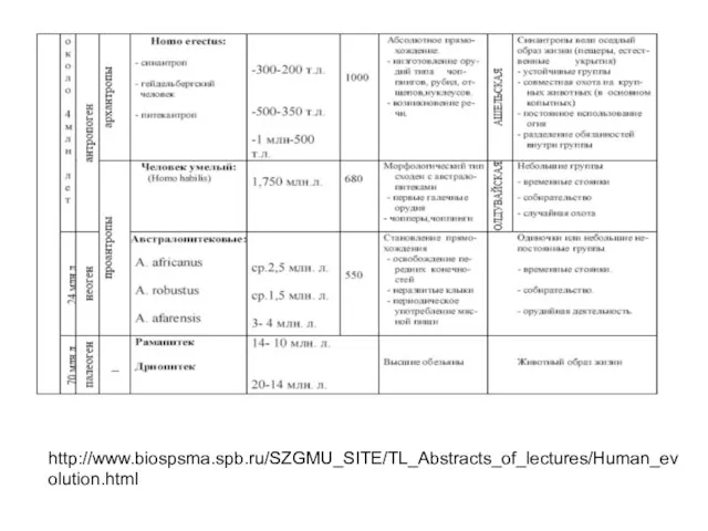 http://www.biospsma.spb.ru/SZGMU_SITE/TL_Abstracts_of_lectures/Human_evolution.html